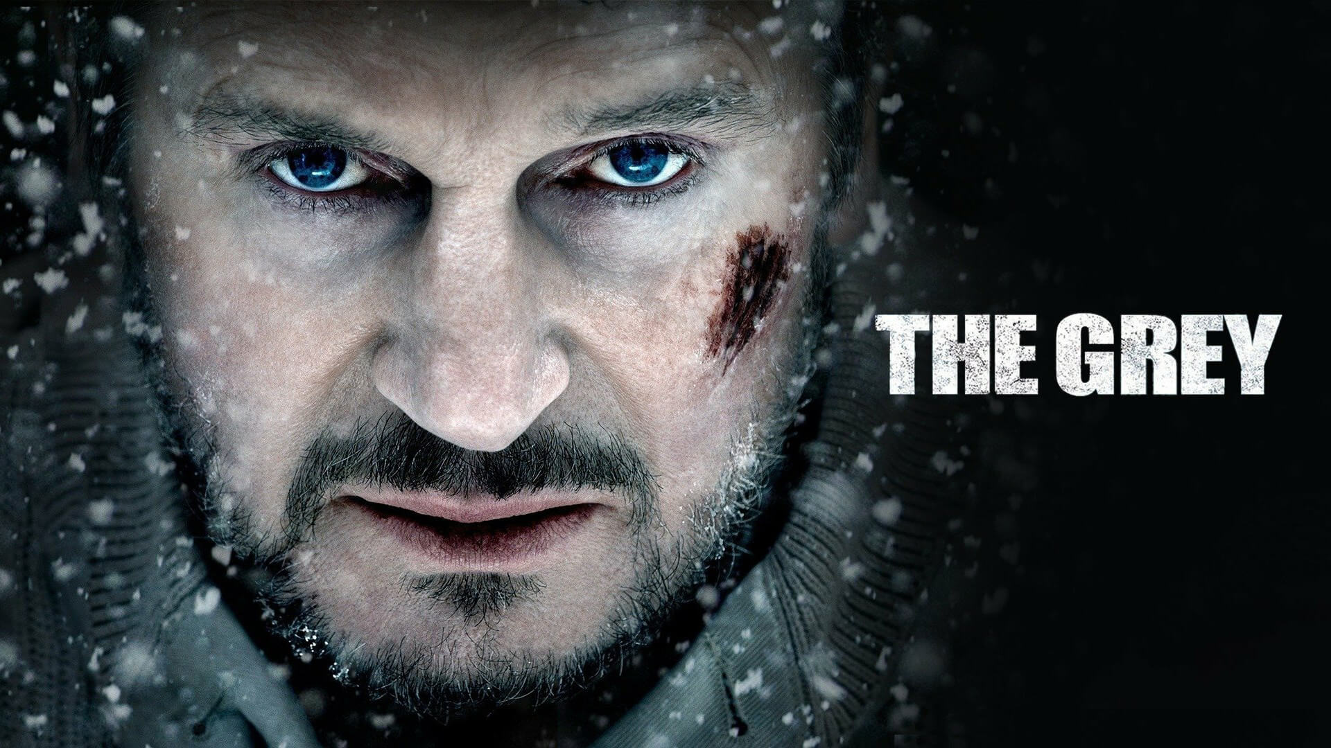 the grey